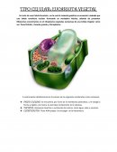 TIPO CELULAR: EUCARIOTA VEGETAL