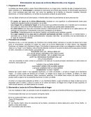 Entronización de Jesús de la Divina Misericordia a los hogares