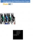 Escenario y problemática Copec S.A