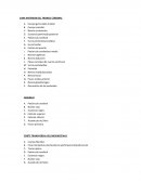 CARA ANTERIOR DEL TRONCO CEREBRAL