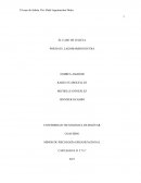 EL CASO DE JULIETA COACHING