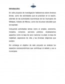 Aspectos económicos a nivel nacional, estatal y municipal. Agricultura en México
