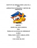 TEORIAS DE LOS ESTILOS DE APRENDIZAJE
