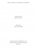 INCIDENCIA DE LOS PROCESOS DE LAS EMPRESAS