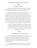 BREVE HISTORIA DEL TIEMPO DE STEPHEN. W. HAWKING