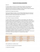 Esquema de la lengua precolombina ¿Qué son?