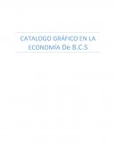 CATALOGO GRÁFICO EN LA ECONOMÍA De B.C.S