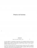 Biología. La enzima catalasa es un catalizador de origen proteico
