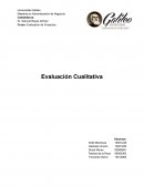 Evaluacion Cualitativa de proyectos