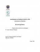 Microbiología Médica Ensayo sobre la ciencia microbiológica