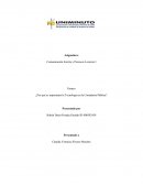 Ensayo de ¿Porque es importante la Tecnología en la Contaduría Pública?