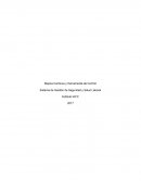 La gran Gestión de seguridad y salud laboral control 8