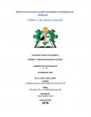 ESTUDIOS TECNICO ECONOMICO: CRIANZA Y COMERCIALIZACION DE CERDOS