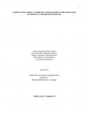 CAMPAÑA ELECTORAL CANDIDATO A EDIL BASADO EN IDEAS SOCIALES, ECOLÓGICAS Y DE BIENESTAR SOCIAL