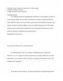 Enfoque estructural y funcional