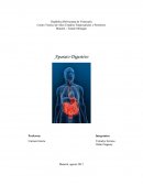 APARATO DIGESTIVO O SISTEMA DIGESTIVO