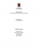 Trap-ease america: El gran queso de las ratoneras