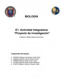 Actividad Proyecto de investigación