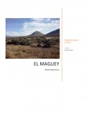 Maguey EXPRESION ORAL Y ESCRITA