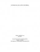 COMO SE DA EL CONTROL DE APLICACIONES EN MI EMPRESA_Ensayo