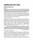 HIDRATOS DE GAS RESUMEN