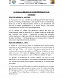 LA REALIDAD DEL MEDIO AMBIENTE LOCAL (PUNO)