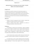 PRACTICA N°1 PREPARACIÓN DE UNA MUESTRA FIJA PARA TINCIÓN Y TINCIÓN SIMPLE CON COLORANTES BÁSICOS