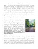 Ensayo sobre humedales de CALI