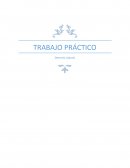 ¿Cuáles son las principales obligaciones del empleador y del trabajador?