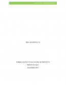 IDEA DE PROYECTO FORMULACIÓN Y EVALUACIÓN DE PROYECTO