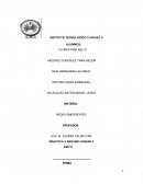 LA Practica Ethernet u4