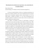 Determinación de la relación entre el parentesco y las características de las huellas dactilares