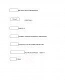 Practica de Redes Emergentes