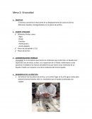 Practica de fluidos Viscosidad