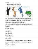 Los vertebrados Los animales vertebrados se caracterizan por tener un esqueleto lleno de huesos, tambien tienen plumaje y pelaje, escamas .