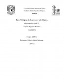 Como es la Histologia del sistema nerviso