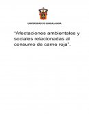 Afectaciones ambientales y sociales relacionadas al consumo de carne roja