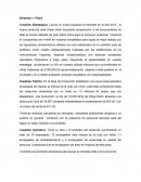 Gestion estrategica Empresa 1: Pepsi