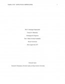 Estrategia empresarial FIAT