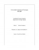 La actividad industrial, especialmente la producción de pulpa y de papel