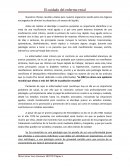 Nuestros riñones resultan vitales para nuestro organismo siendo estos los órganos encargados de eliminar los desechos y el exceso de líquido.