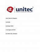 Economia , Empleo y Consumo