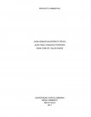 Proyecto Ambiental MEDIO AMBIENTE NEIVA-HUILA