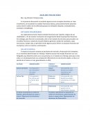 UN EJEMPLO DE ANÁLISIS FINANCIERO