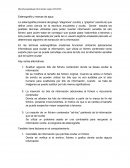 Estenografía y marcas de agua