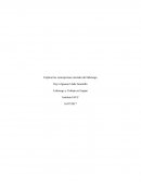 Explicar las concepciones iniciales del liderazgo