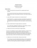 Evaluación Sumativa 1 Fundamentos de Internet