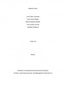 TEMA TEORIA Y METODOLOGIA DEL ENTRENAMIENTO DEPORTIVO