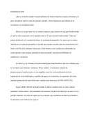 ¿Qué es la biodiversidad?