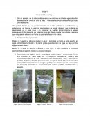 Unidad 1. Generalidades del agua Realización del experimento